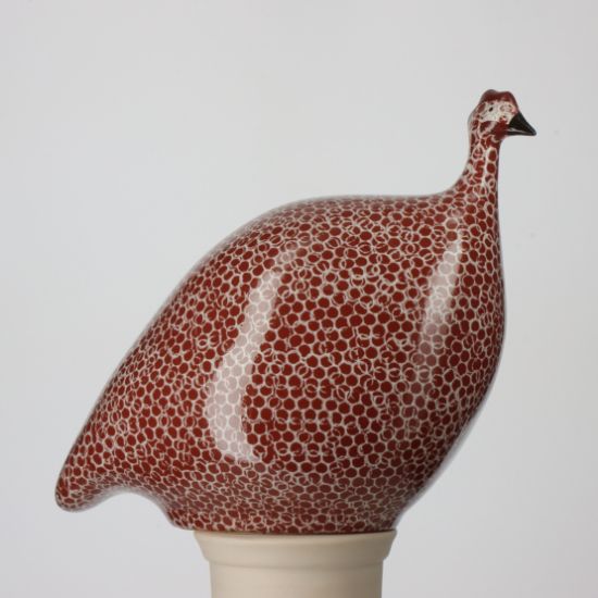 Picture of Medium Bordeaux Guinea Hen with White Spots