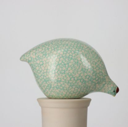 Picture of Pecking Large White Quail with Turquoise Spots