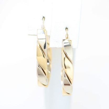 Picture of 14k Two Tone Gold Hoop Earrings
