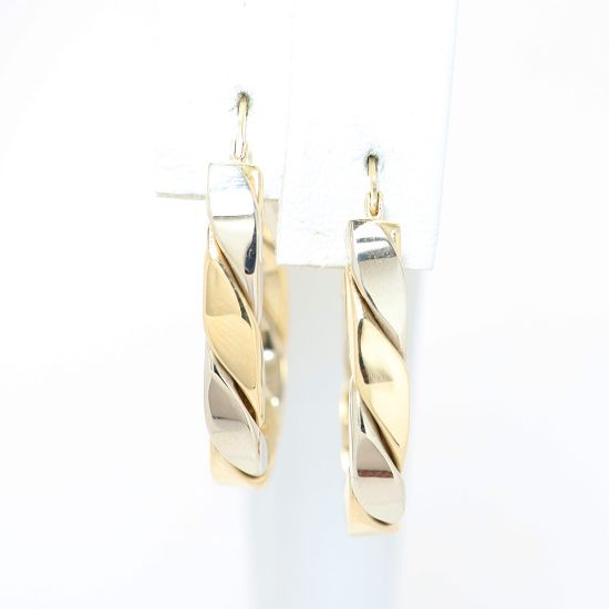 Picture of 14k Two Tone Gold Hoop Earrings