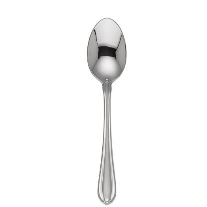 Picture of New Place Spoon