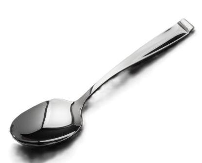 Picture of New Place Spoon
