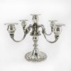 Picture of 5 Light Candelabra Pair,  Low Footed