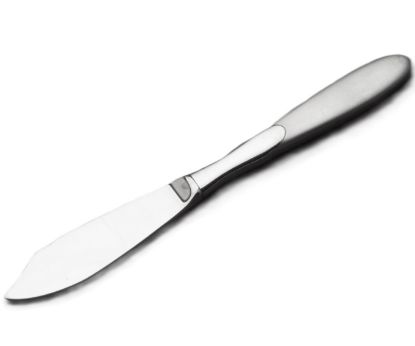 Picture of New Master Butter Server