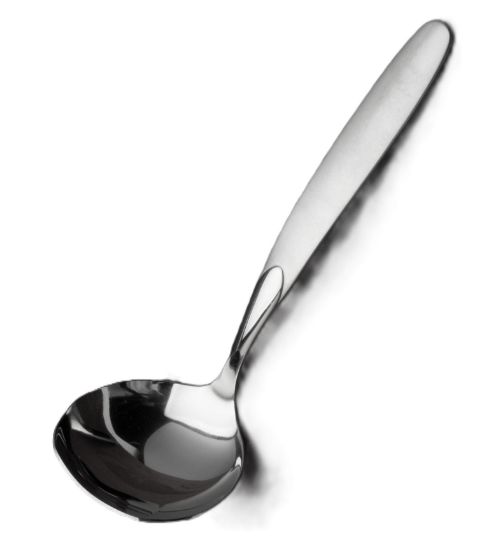 Picture of New Gravy Ladle