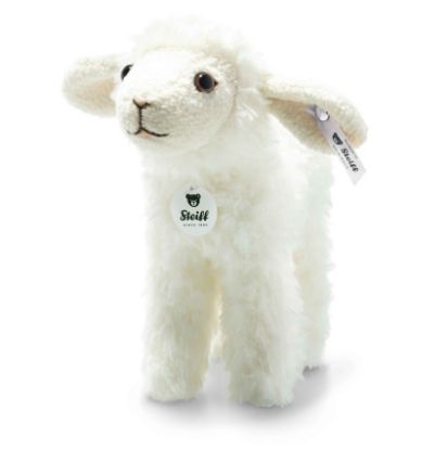 Picture of 'Anni' The Lamb 