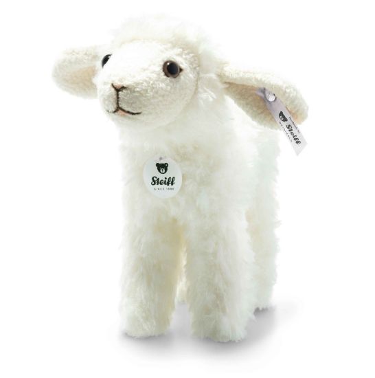 Picture of 'Anni' The Lamb 