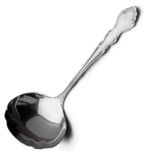 Picture of New Gravy Ladle