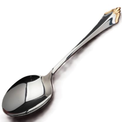 Picture of New Place/Dinner Spoon