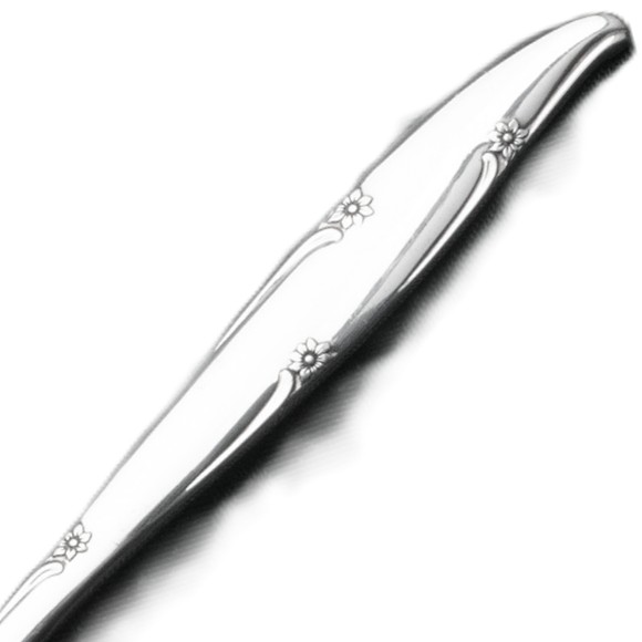 Picture for category Silver Flower