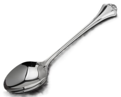 Picture of New Place Spoon