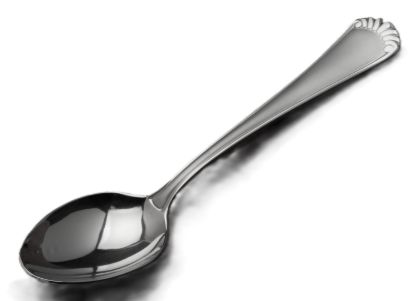 Picture of New Place Spoon