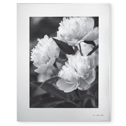 Picture of 8x10" Photo Frame
