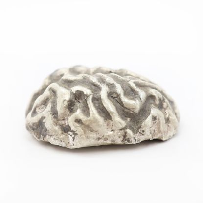 Picture of The Brain (2ozt)