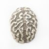 Picture of The Brain (2ozt)