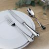Picture of New 5-Piece Place Setting