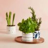 Picture of New Snack Bowl & Tray Set