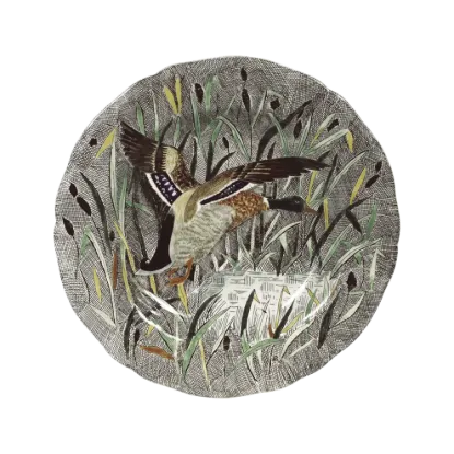 Picture of Rim Soup 'Duck'