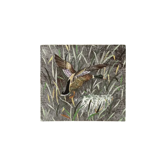 Picture of Square Plate 'Duck'