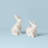 Picture of New Figural Bunny Salt & Pepper Shaker Set
