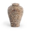Picture of Strombus Shell Vase