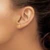Picture of 14k Yellow Gold Mini Cross Post Earrings