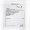 Picture of 14k Yellow Gold Diamond Solitaire Stud Earrings