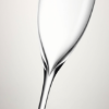 Picture of New Champagne Classic Flute, 8oz, Set of 2
