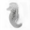 Picture of Waterford Crystal Seahorse Brooch/Pin