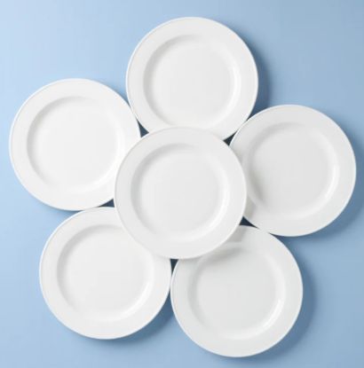 Picture of New Set of 6 Dinner Plates, Rimmed