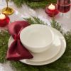 Picture of New 16-Piece Dinnerware Set, Coupe