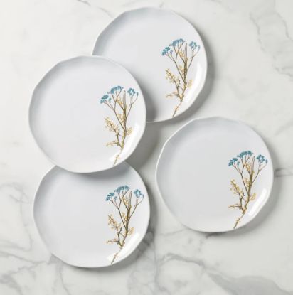 Picture of New Set of 4 Dinner Plates