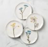 Picture of New Set of 4 Tidbit Plates