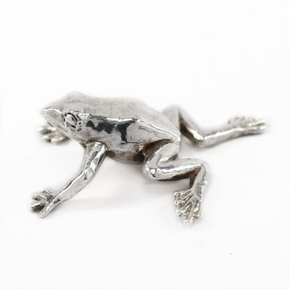 Picture of 999 Pure Silver Frog