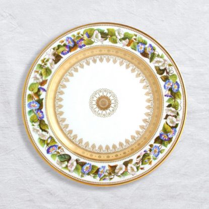 Picture of New Dinner Plate 10.5" Morning Glory