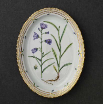 Picture of New Dish, 47 cm