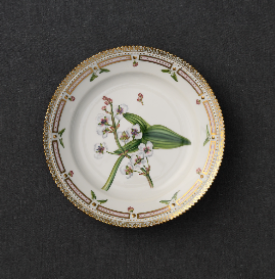 Picture of New Dinner Plate