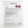 Picture of 14k Two Tone Gold Pavé Set Ruby, Sapphire, & Diamond Flower Earrings