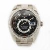 Picture of Rolex 18k White Gold & Stainless Steel Men's Sky Dweller Watch