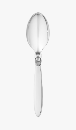Picture of New Dinner Spoon